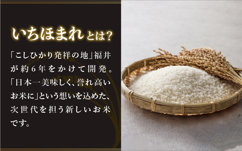 【寄付額見直し】令和7年産 いちほまれ 5kg（5kg × 1袋）