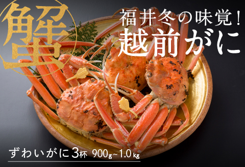 【産地直送】先行予約！ 福井の冬の王様！越前がに 900g〜1.0kg × 3杯　2024年11月15日以降発送