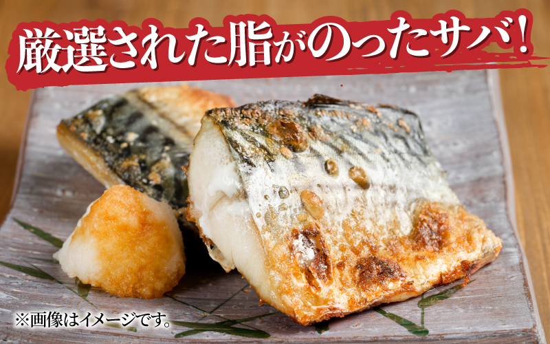 骨なし鮭・鯖・カレイ　冷凍切り身3種セット（各600g×3種）計1.8kg