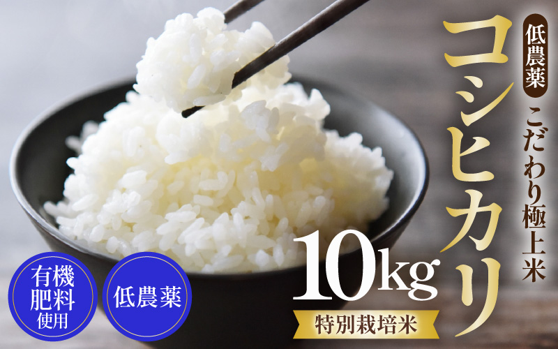 【先行予約】【令和8年産 新米】特別栽培米 コシヒカリ 10kg 低農薬 《食味値85点以上！こだわり極上米》 / 福井県 あわら 北陸 米 お米 人気 高品質 鮮度抜群 新米 ※2026年9月上旬より順次発送 [aw032-c009]