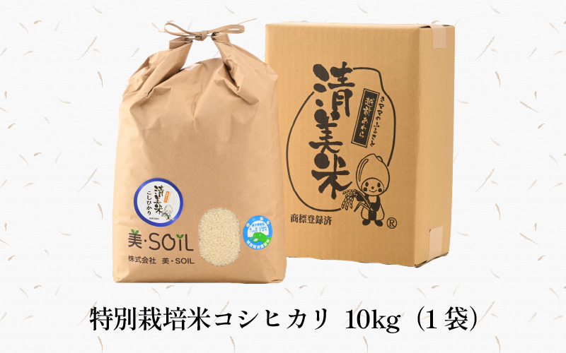 【先行予約】【令和8年産 新米】特別栽培米 コシヒカリ 10kg 低農薬 《食味値85点以上！こだわり極上米》 / 福井県 あわら 北陸 米 お米 人気 高品質 鮮度抜群 新米 ※2026年9月上旬より順次発送 [aw032-c009]