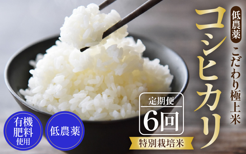【先行予約】【令和8年産 新米】《定期便》5kg×6回 30kg 特別栽培米 コシヒカリ 低農薬 《食味値85点以上！こだわり極上米》 / 福井県 あわら 北陸 米 お米 人気 高品質 鮮度抜群 新米送 ※2026年9月中旬より順次発送 [aw032-j006]