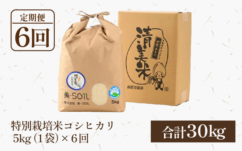 【先行予約】【令和8年産 新米】《定期便》5kg×6回 30kg 特別栽培米 コシヒカリ 低農薬 《食味値85点以上！こだわり極上米》 / 福井県 あわら 北陸 米 お米 人気 高品質 鮮度抜群 新米送 ※2026年9月中旬より順次発送 [aw032-j006]