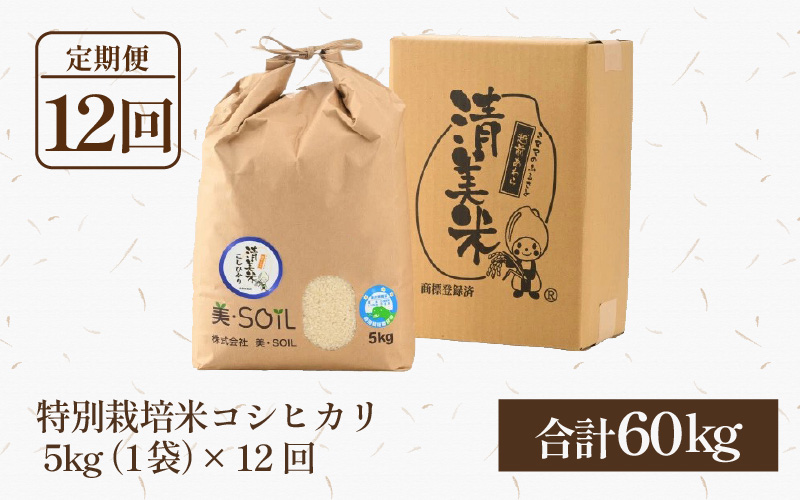 【先行予約】【令和8年産 新米】《定期便》5kg×12回 60kg 特別栽培米 コシヒカリ 低農薬 《食味値85点以上！こだわり極上米》 / 福井県 あわら 北陸 米 お米 人気 高品質 鮮度抜群 新米 ※2026年9月下旬より順次発送 [aw032-o006]