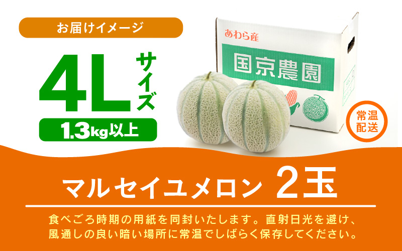  【先行予約】マルセイユメロン 2玉入 4L（1.3kg以上×2玉）高糖度で抜群に美味しい赤肉メロン ／ 果物 フルーツ 産地直送 ※2026年6月上旬以降発送 [aw067-a005]