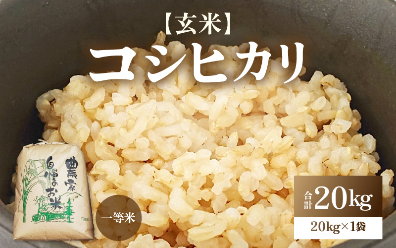 【先行予約】【令和8年産】コシヒカリ 玄米 20kg / 米 こしひかり コシヒカリ 福井県 一等米 玄米 あわら市 福井県 コスパ ※2026年9月下旬より順次発送予定 [aw096-d004]