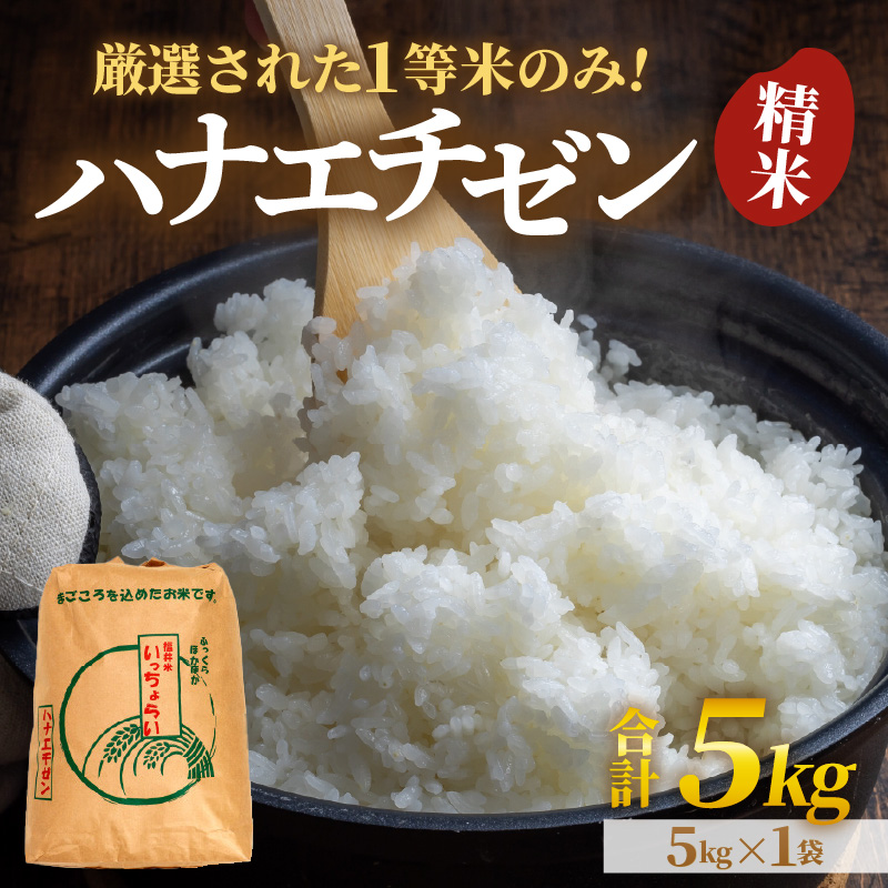 【先行予約】【令和8年産・新米】【一等米】ハナエチゼン 精米 5kg ×1袋《発送直前精米！》 ／ 福井県産 ブランド米 ご飯 白米 お米 コメ 新鮮 大賞 受賞 新米 ※2026年9月上旬以降順次発送予定 [aw012-a034]