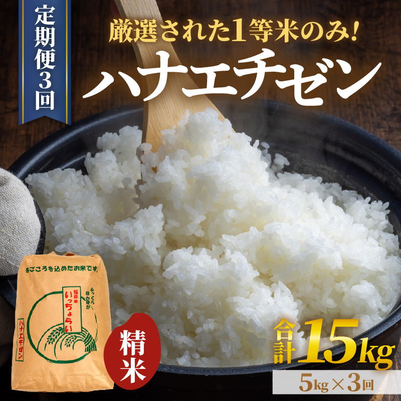 【先行予約】【令和8年産・新米】【一等米】＜定期便3回＞ ハナエチゼン 精米 5kg × 3回（15kg）《発送直前精米！》 ／ 福井県産 ブランド米 ご飯 白米 お米 コメ 新鮮 大賞 受賞 新米 ※2026年9月上旬以降順次発送予定 [aw012-b027]