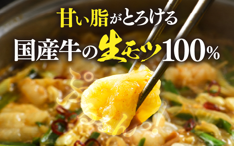 ぷるるんもつ鍋セット×2セット（約8～10人前）越前のホルモン屋 国産牛 ／ 味噌 モツ鍋 小腸 ホルモン 鍋 国産 国産牛 牛ホルモン おつまみ 冷凍 人気 やみつき キャンプ アウトドア [aw001-a013]