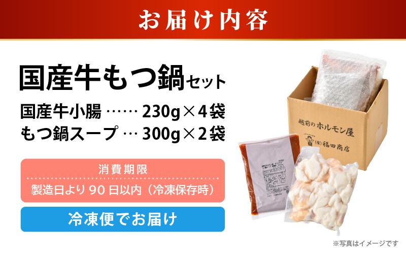 ぷるるんもつ鍋セット×2セット（約8～10人前）越前のホルモン屋 国産牛 ／ 味噌 モツ鍋 小腸 ホルモン 鍋 国産 国産牛 牛ホルモン おつまみ 冷凍 人気 やみつき キャンプ アウトドア [aw001-a013]