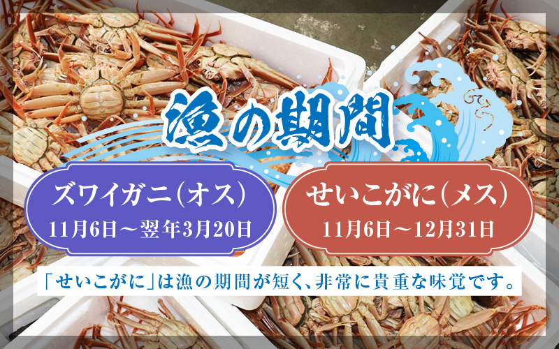 【先行予約】ボイルせいこがに 5杯 《 獲れたての味！》 ／期間限定 茹で ボイル 冷蔵 蟹 カニ 福井県 あわら市 海鮮 冬 旬 ※2026年11月中旬～2026年12月下旬の間で順次発送 [aw002-x001]
