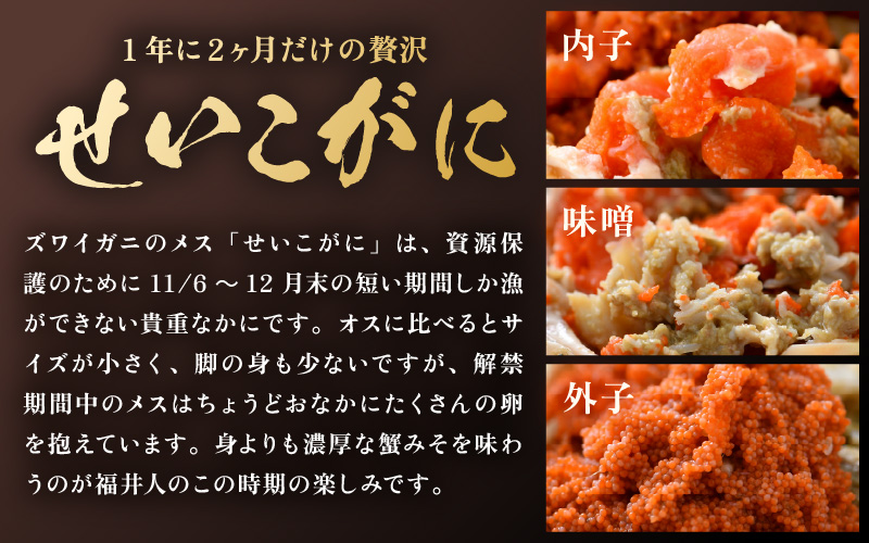 【先行予約】ボイルせいこがに 5杯 《 獲れたての味！》 ／期間限定 茹で ボイル 冷蔵 蟹 カニ 福井県 あわら市 海鮮 冬 旬 ※2026年11月中旬～2026年12月下旬の間で順次発送 [aw002-x001]