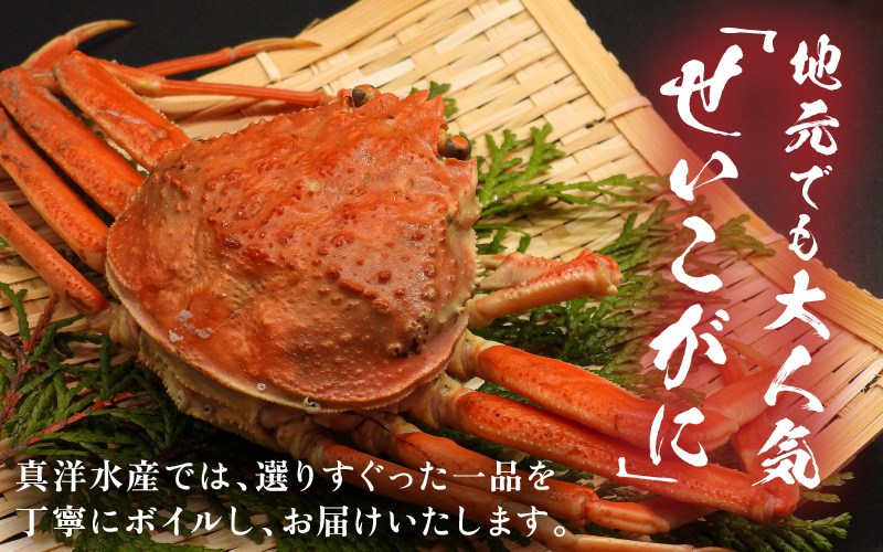 【先行予約】ボイルせいこがに 5杯 《 獲れたての味！》 ／期間限定 茹で ボイル 冷蔵 蟹 カニ 福井県 あわら市 海鮮 冬 旬 ※2026年11月中旬～2026年12月下旬の間で順次発送 [aw002-x001]