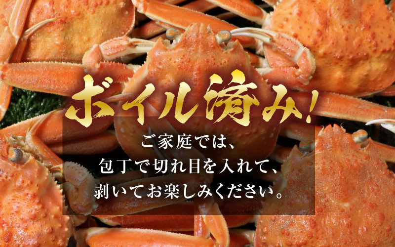 【先行予約】ボイルせいこがに 5杯 《 獲れたての味！》 ／期間限定 茹で ボイル 冷蔵 蟹 カニ 福井県 あわら市 海鮮 冬 旬 ※2026年11月中旬～2026年12月下旬の間で順次発送 [aw002-x001]