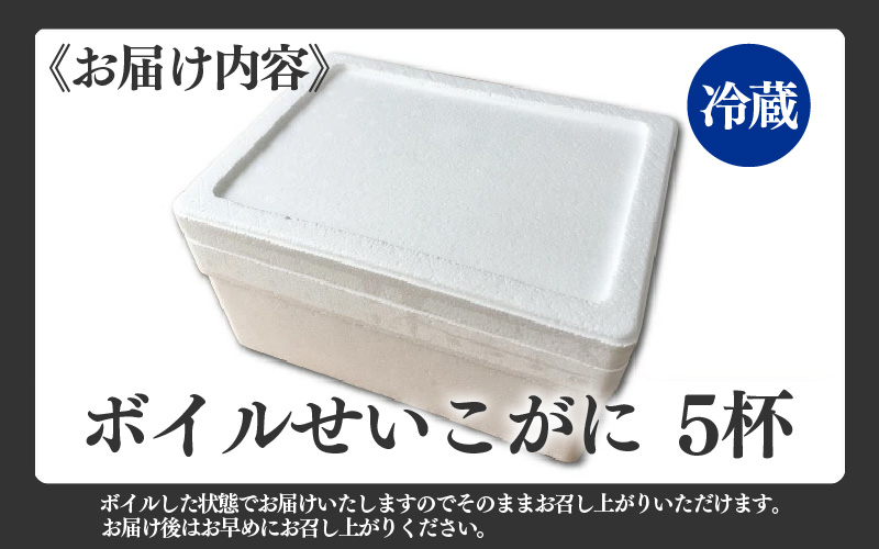 【先行予約】ボイルせいこがに 5杯 《 獲れたての味！》 ／期間限定 茹で ボイル 冷蔵 蟹 カニ 福井県 あわら市 海鮮 冬 旬 ※2026年11月中旬～2026年12月下旬の間で順次発送 [aw002-x001]