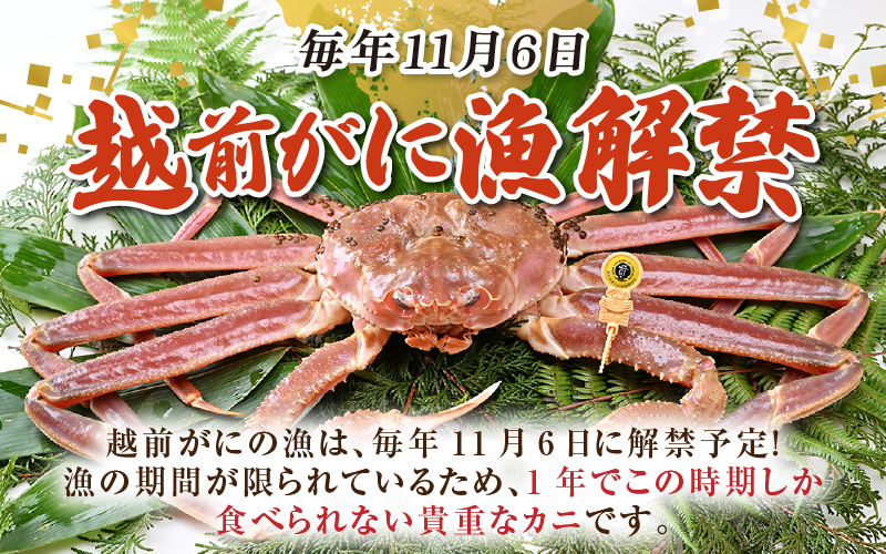 【先行予約】【3月発送限定】茹で越前がに 1杯 750g～900g（大サイズ以上）《新鮮！茹でたてを発送》／ 高級 福井 ブランド ズワイガニ 黄色タグ ボイル 冷蔵 蟹 カニ 期間限定 【最終受付3月10日まで】※2027年3月上旬～2027年3月中旬で発送 [aw002-x003_03]