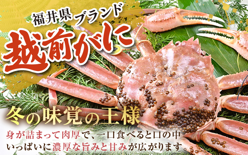 【先行予約】【3月発送限定】茹で越前がに 1杯 1.1kg～1.3kg《新鮮！茹でたてを発送》／ 高級 福井 ブランド ズワイガニ ボイル 黄色タグ 冷蔵 蟹 カニ 期間限定 【最終受付3月10日まで】※2027年3月上旬～2027年3月中旬で発送 [aw002-x004_03]