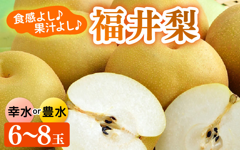 【先行予約】福井梨 6～8玉入 《幸水梨 豊水梨どちらかのお届け！》 ／ 期間限定 果物 フルーツ 産地直送 旬 お取り寄せ ※2027年8月下旬以降発送 [aw003-a009]