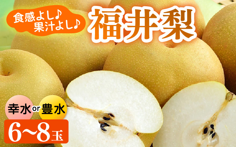 【先行予約】福井梨 6～8玉入 《幸水梨 豊水梨どちらかのお届け！》 ／ 期間限定 果物 フルーツ 産地直送 旬 お取り寄せ ※2027年8月下旬以降発送 [aw003-a009]