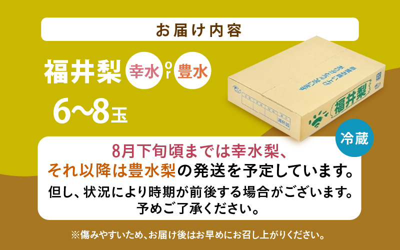 【先行予約】福井梨 6～8玉入 《幸水梨 豊水梨どちらかのお届け！》 ／ 期間限定 果物 フルーツ 産地直送 旬 お取り寄せ ※2027年8月下旬以降発送 [aw003-a009]