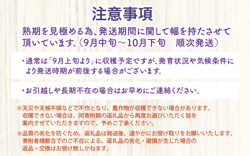 【先行予約】厳選シャインマスカット 1kg以上（2～3房）【種なし】フルーツパークOKAYU ※2026年9月中旬より順次発送 [aw007-a005]