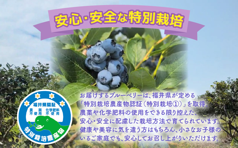 【訳あり】冷凍果実 福井県あわら市産 生食用ブルーベリー 真空冷凍 400g [aw007-a008]