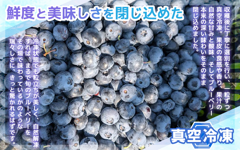 【訳あり】冷凍果実 福井県あわら市産 生食用ブルーベリー 真空冷凍 400g [aw007-a008]