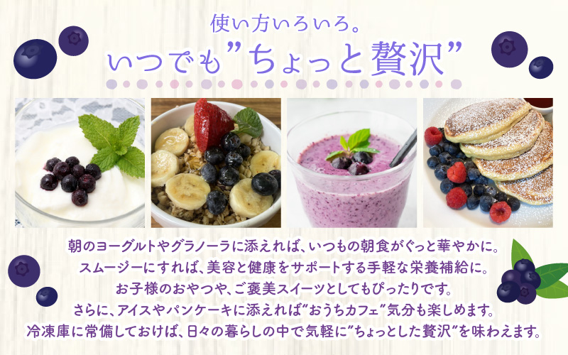 【訳あり】冷凍果実 福井県あわら市産 生食用ブルーベリー 真空冷凍 400g [aw007-a008]