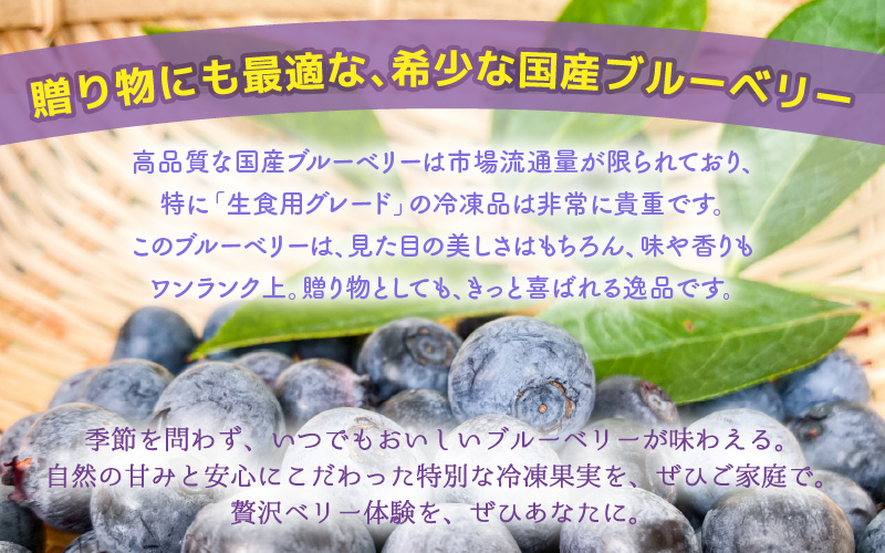 【訳あり】冷凍果実 福井県あわら市産 生食用ブルーベリー 真空冷凍 400g [aw007-a008]