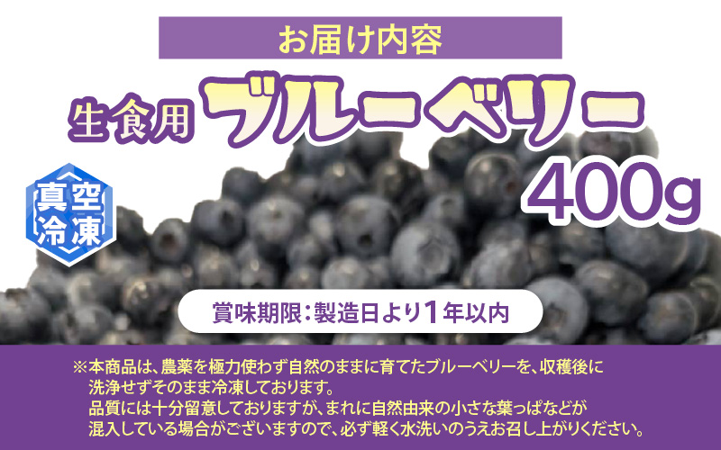 【訳あり】冷凍果実 福井県あわら市産 生食用ブルーベリー 真空冷凍 400g [aw007-a008]