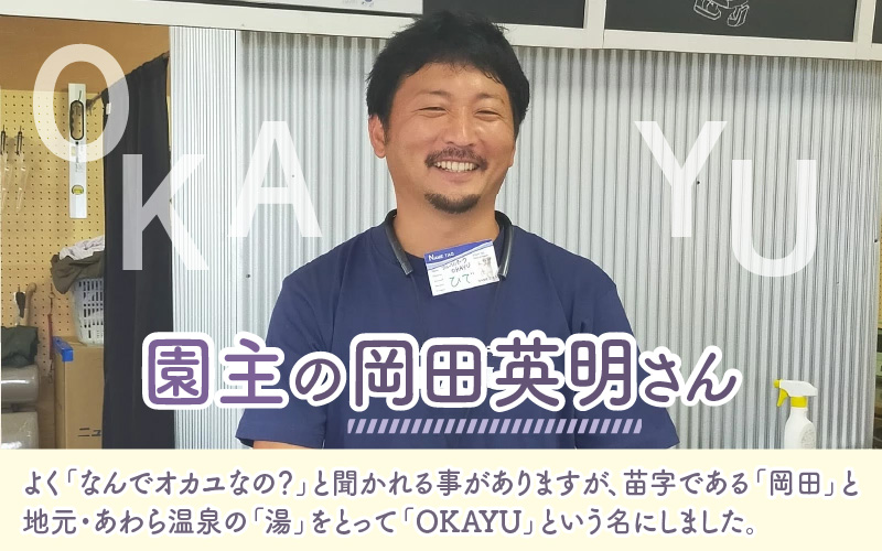 【先行予約】9月特選 ぶどうセットL 1.7kg以上（3～4房）／ 葡萄 クイーンニーナ 品種 おまかせ あわら 農家おすすめ ※2026年9月より順次発送 [aw007-b003]