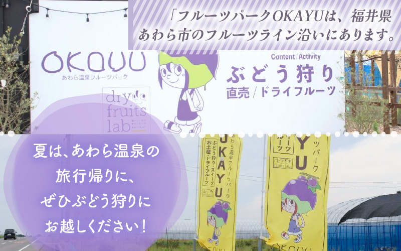 【先行予約】厳選シャインマスカット 1.7kg以上（3～4房）【種なし】フルーツパークOKAYU ※2026年9月中旬より順次発送 [aw007-b004]