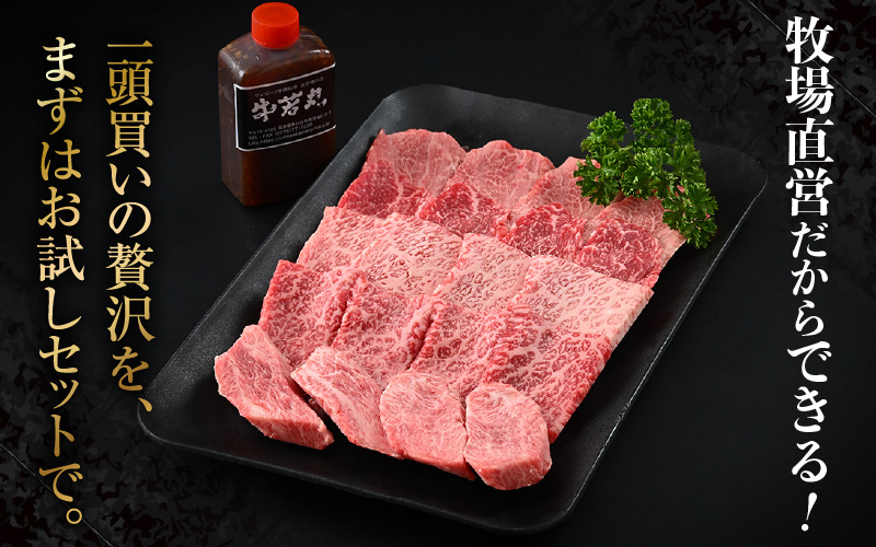 まるごと若狭牛！5部位お試し焼肉セット 300g（60g×5種） ／ 国産 牛肉 A4 A5 ブランド牛 [aw009-a004]