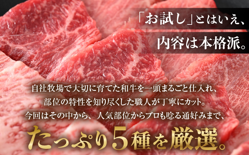 まるごと若狭牛！5部位お試し焼肉セット 300g（60g×5種） ／ 国産 牛肉 A4 A5 ブランド牛 [aw009-a004]