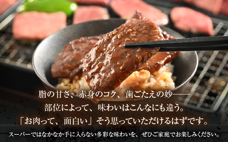 まるごと若狭牛！5部位お試し焼肉セット 300g（60g×5種） ／ 国産 牛肉 A4 A5 ブランド牛 [aw009-a004]