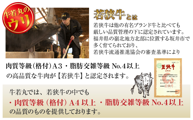 まるごと若狭牛！5部位お試し焼肉セット 300g（60g×5種） ／ 国産 牛肉 A4 A5 ブランド牛 [aw009-a004]
