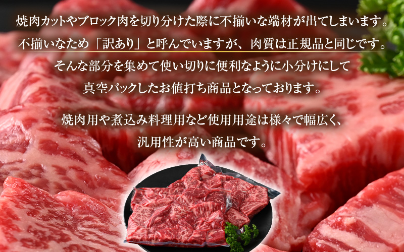 【訳あり】 若狭牛 赤身肉 500g（250g×2個） ／ 国産 牛肉 A4 A5 ブランド牛 [aw009-a005]