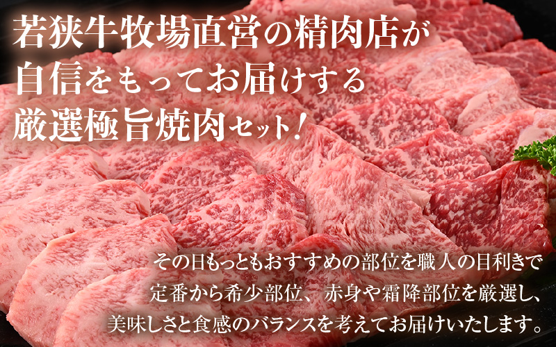 牛若丸厳選！若狭牛おまかせ極旨焼肉盛り合わせ 1kg ／ 国産 牛肉 A4 A5 ブランド牛 [aw009-d002]