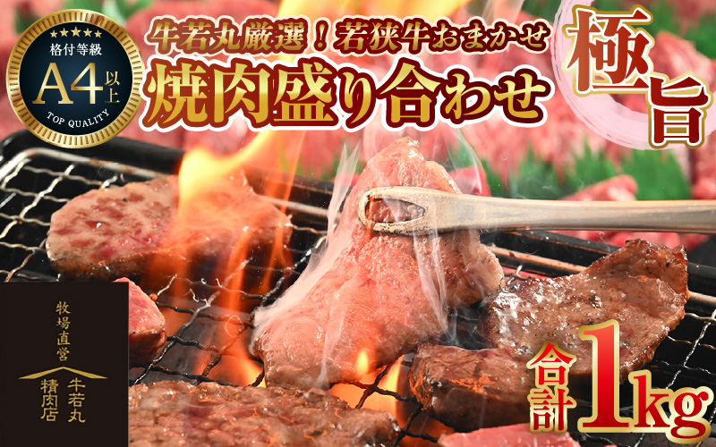 牛若丸厳選！若狭牛おまかせ極旨焼肉盛り合わせ 1kg ／ 国産 牛肉 A4 A5 ブランド牛 [aw009-d002]