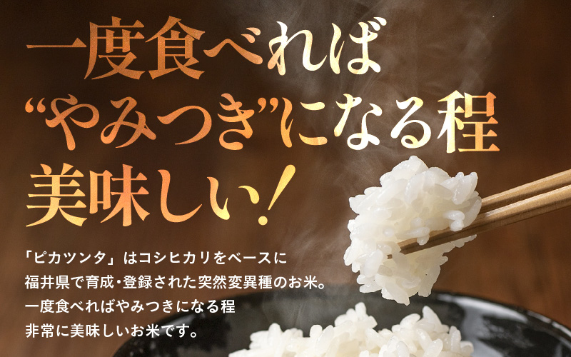 【令和7年産】化学肥料不使用 ピカツンタ 精米 4kg（真空パック1kg×4袋） [aw010-a032]