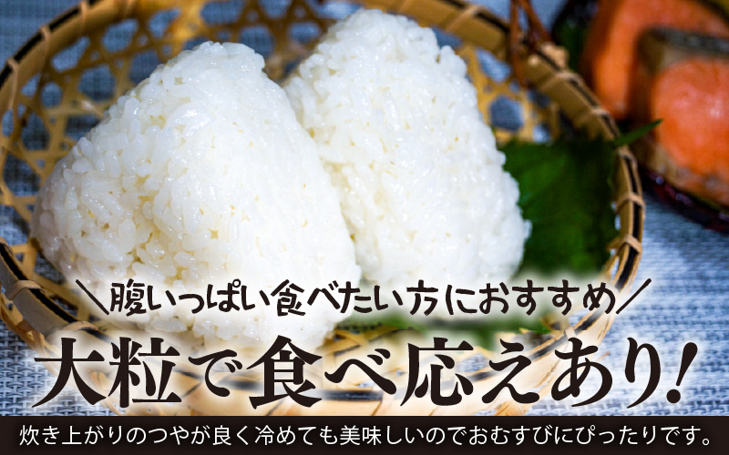 【先行予約】【令和8年産】化学肥料不使用 虹のきらめき精米4kg(真空パック1kg×4袋) ※2026年9月下旬以降発送予定 [aw010-a049]
