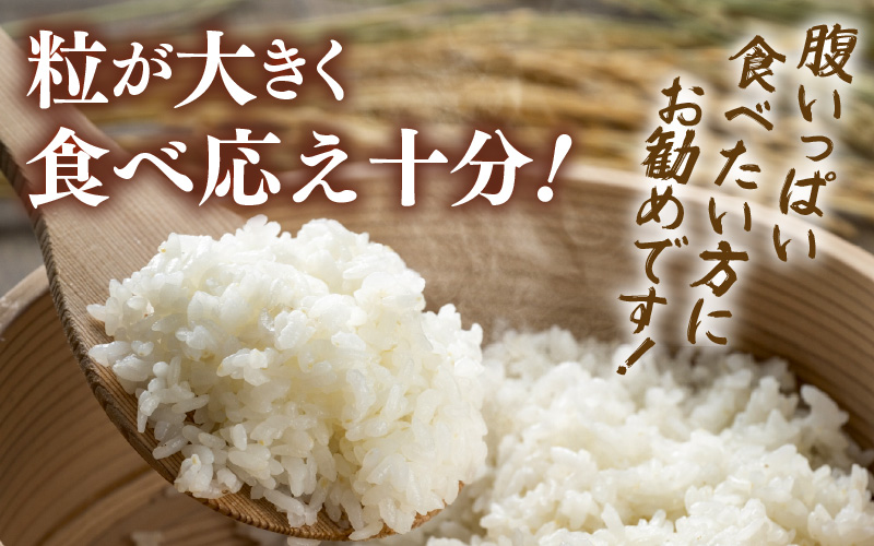 【先行予約】【令和8年産】化学肥料不使用 てんこもり精米 4kg (真空パック1kg×4袋) ※2026年9月下旬より順次発送予定 [aw010-a075]