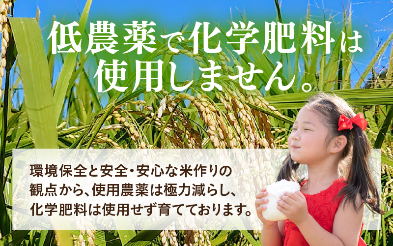 【先行予約】【令和8年産】化学肥料不使用 てんこもり精米 4kg (真空パック1kg×4袋) ※2026年9月下旬より順次発送予定 [aw010-a075]