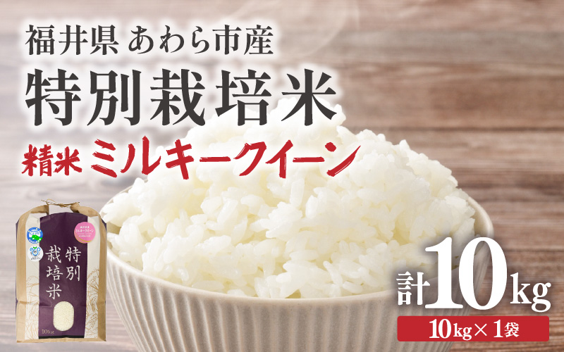 【先行予約】【令和8年産】化学肥料不使用 ミルキークイーン 精米 10kg × 1袋 / 白米 米 福井県あわら市産 美味しい 特別栽培米 減農薬 安心な米 旨味 甘み もっちり 冷蔵保管米 ※2026年10月上旬以降発送予定 [aw010-b023]