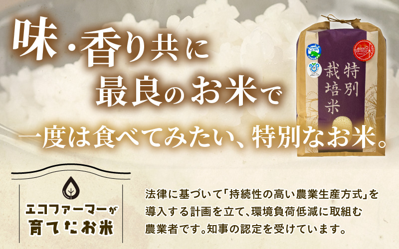 【令和7年産】化学肥料不使用 特別栽培米 ミルキープリンセス 精米 10kg × 1袋 / 白米 米 福井県あわら市産 美味しい 特別栽培米 減農薬 安心な米 旨味 甘み もっちり 冷蔵保管米 [aw010-a059]