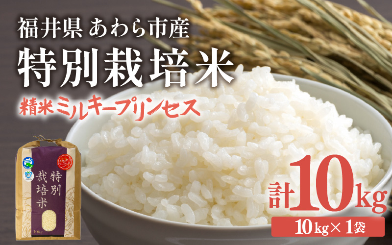 【令和7年産】化学肥料不使用 特別栽培米 ミルキープリンセス 精米 10kg × 1袋 / 白米 米 福井県あわら市産 美味しい 特別栽培米 減農薬 安心な米 旨味 甘み もっちり 冷蔵保管米 [aw010-a059]