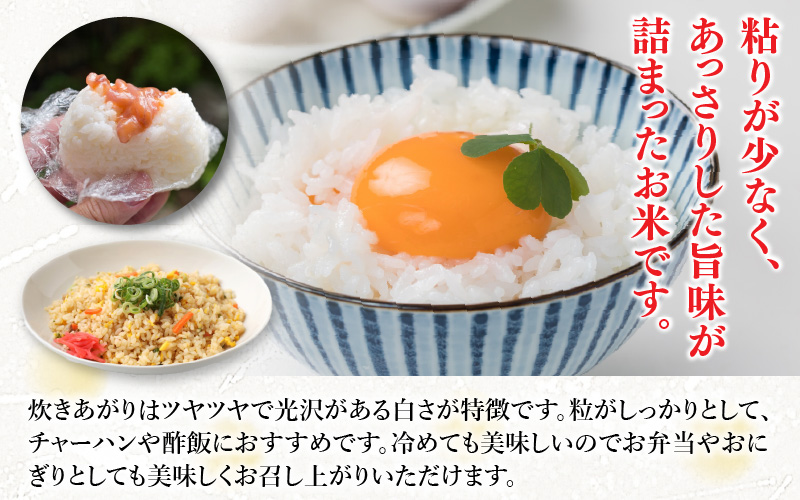 【先行予約】【令和8年産】【定期便3回】≪3ヶ月連続お届け≫ 化学肥料不使用 ハナエチゼン 精米 5kg × 3回（合計15kg）※2026年9月上旬より順次発送予定 [aw010-c022]