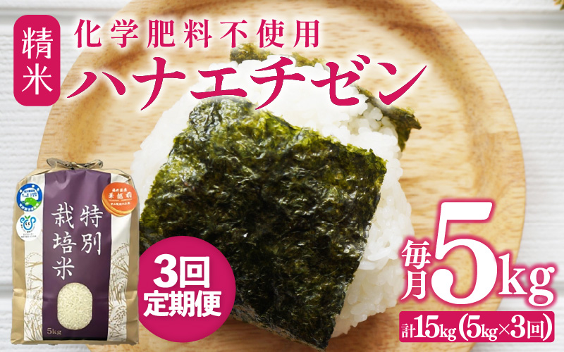 【先行予約】【令和8年産】【定期便3回】≪3ヶ月連続お届け≫ 化学肥料不使用 ハナエチゼン 精米 5kg × 3回（合計15kg）※2026年9月上旬より順次発送予定 [aw010-c022]