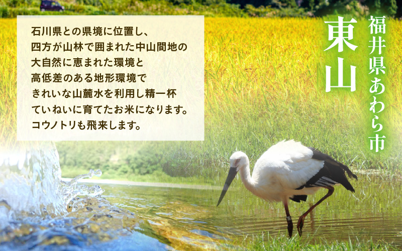 【先行予約】【令和8年産】【定期便3回】≪3ヶ月連続お届け≫ 化学肥料不使用 にこまる 精米 5kg × 3回（合計15kg）※2026年11月上旬より順次発送予定  [aw010-c030]