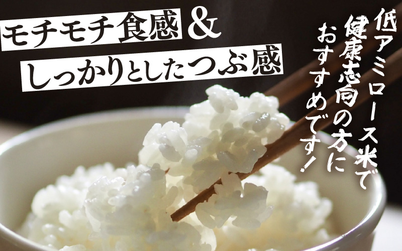 【先行予約】【令和8年産】定期便 ≪6ヶ月連続お届け≫ 化学肥料不使用 ふくむすめ 精米 5kg × 6回（合計30kg）※2026年10月上旬より順次発送予定 [aw010-f014]